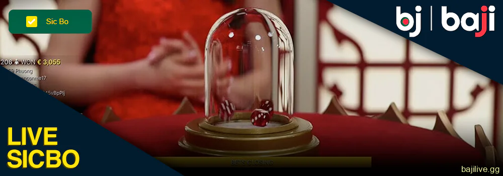 Play Live Sicbo at Baji