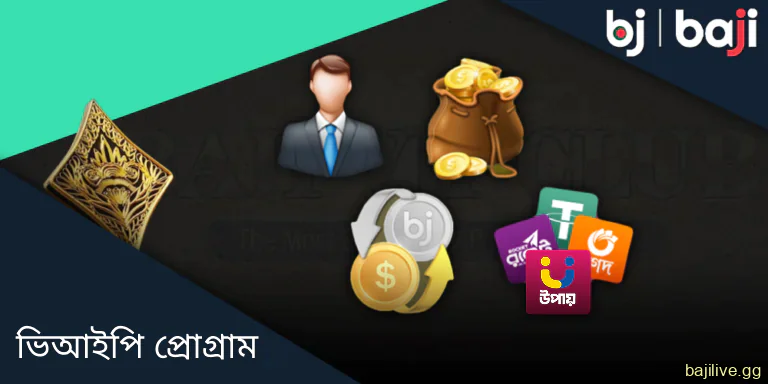 বাংলাদেশে Baji ভিআইপি প্রোগ্রাম